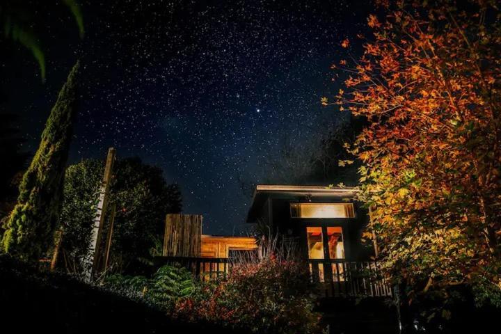 Starry Nights Cabin Fever Waikino Extérieur photo