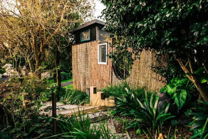 Starry Nights Cabin Fever Waikino Extérieur photo