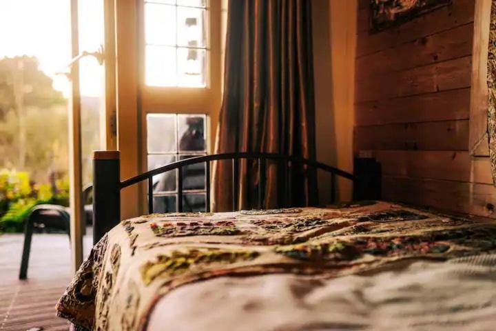 Starry Nights Cabin Fever Waikino Extérieur photo