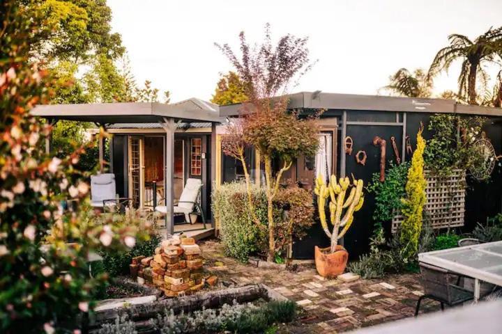 Starry Nights Cabin Fever Waikino Extérieur photo