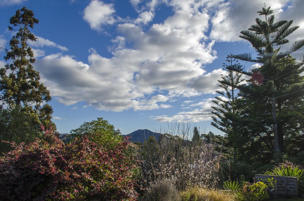Starry Nights Cabin Fever Waikino Extérieur photo