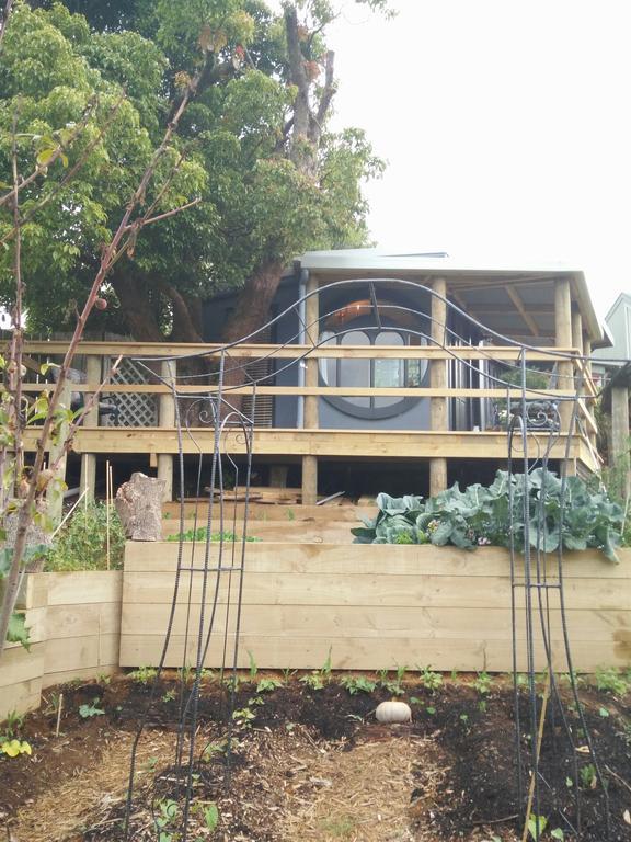 Starry Nights Cabin Fever Waikino Extérieur photo
